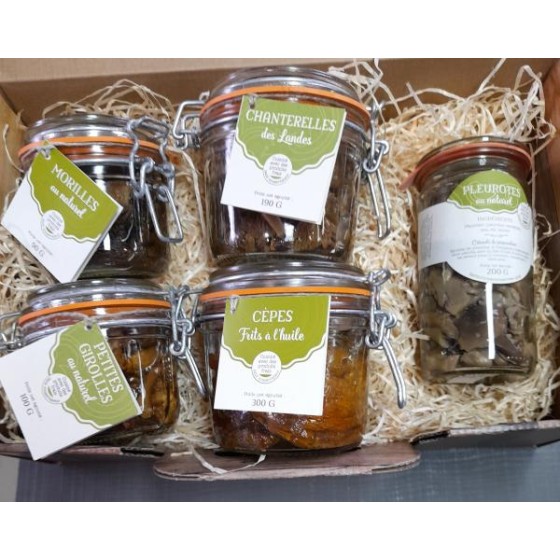 COFFRET PLAISIRS DES SOUS BOIS